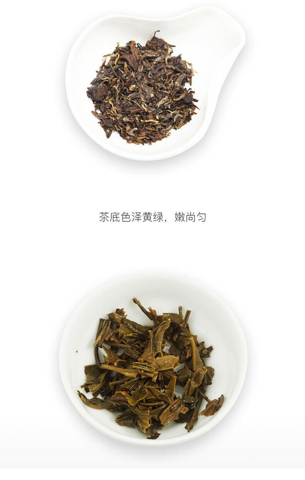 Classic Raw Pu'er Tea Jia Ji TuoCha Menghai TAETEA Dayi Tea Raw Pu-erh 500g