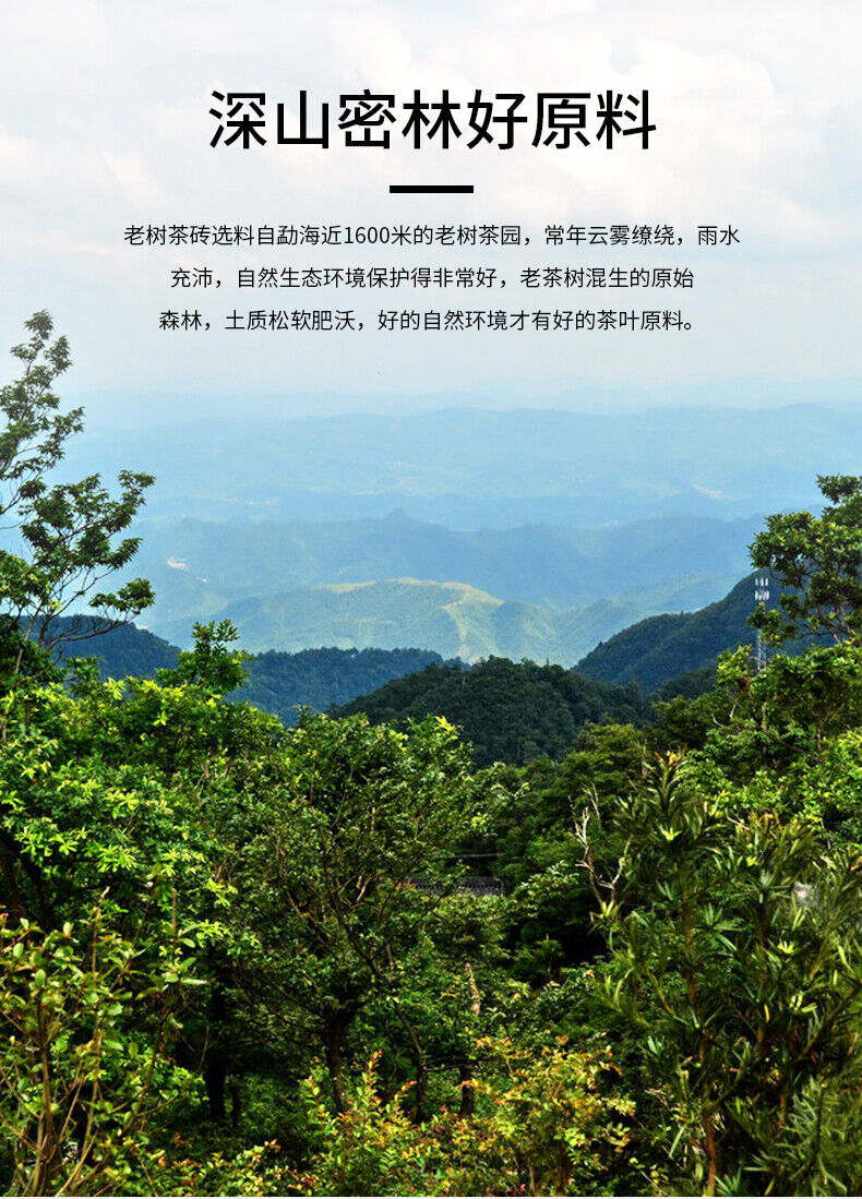 Haiwan Tea Menghai Old Tree Tea Brick Ripe Pu-erh Pu Er Tea 500g Box