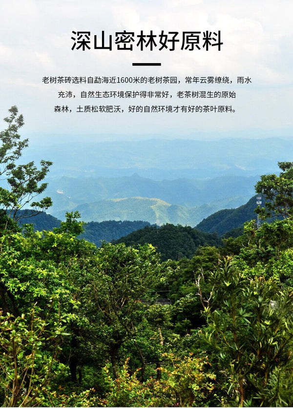 Haiwan Tea Menghai Old Tree Tea Brick Ripe Pu-erh Pu Er Tea 500g Box