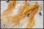 10 Pcs Herbal Pren Optimal Grade Health Panax Ginseng Root  Fresh Ginseng Root
