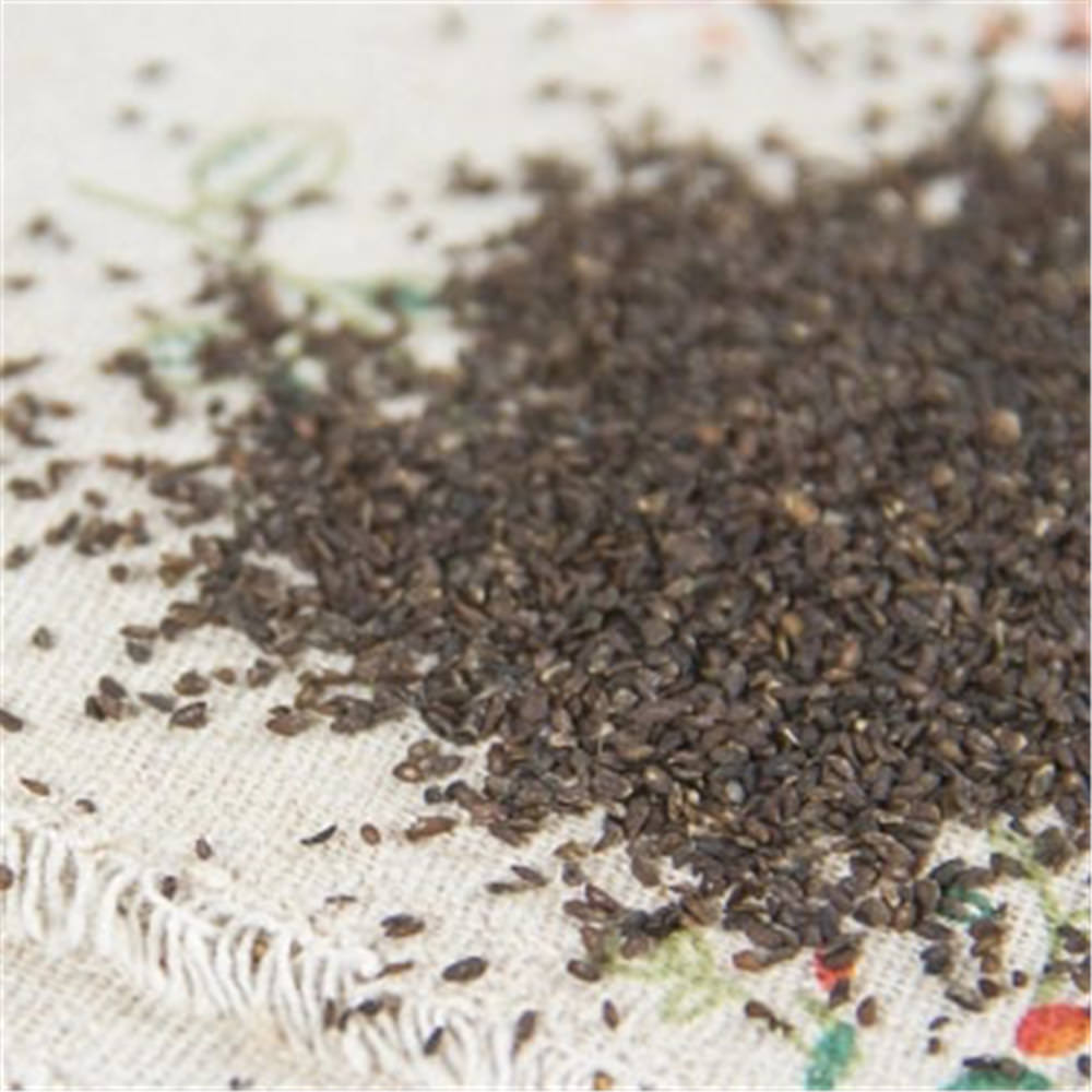 Plantago Asiatica Seed 花子 Che Qian Zi Plantain Seed Psyllium Seed 100% Natural