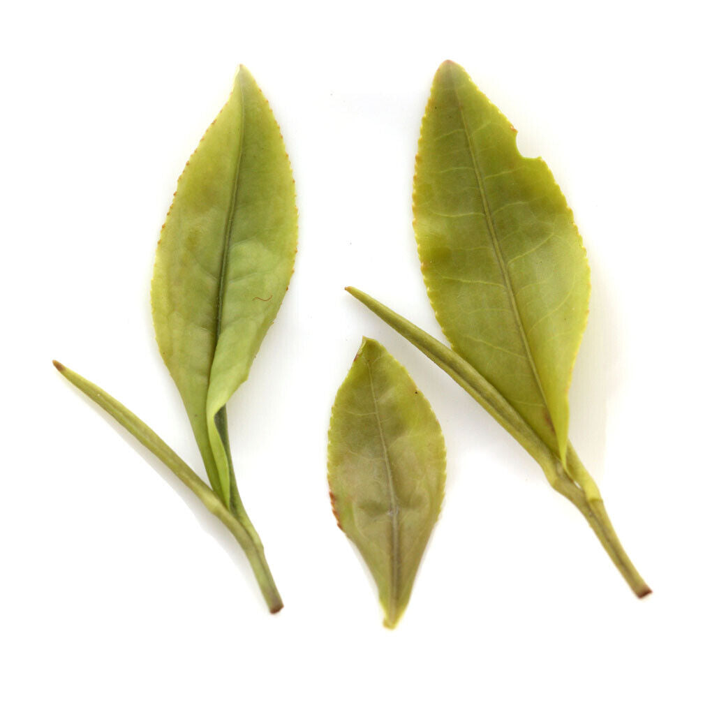 HELLOYOUNG Premium Huangshan Maofeng GREEN TEA Chinese Yellow Mountain Mao Feng