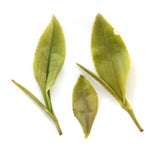 HELLOYOUNG Premium Huangshan Maofeng GREEN TEA Chinese Yellow Mountain Mao Feng