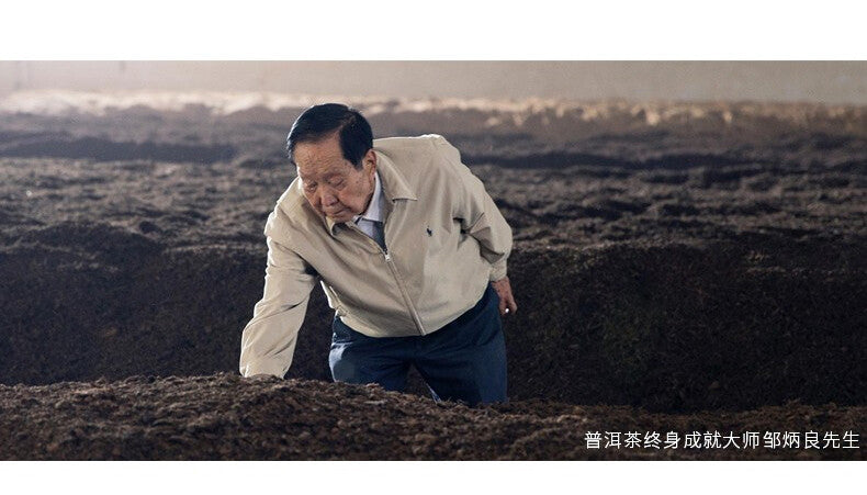 CHEN XIANG Mini Tuo Cha Haiwan Old Comrade Premium Puer Pu-erh Tea Ripe Pu'er