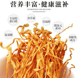 Dried Jin Chong Cao Herb Cordyceps Militaris Cordyceps Flower 虫草花