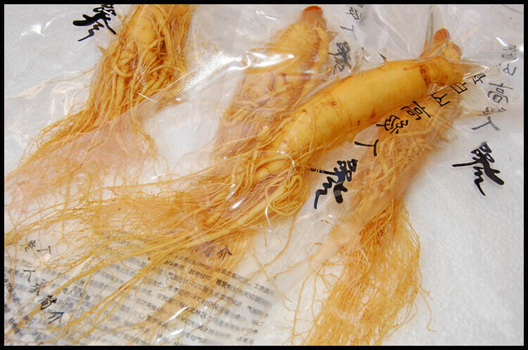 10 Pcs Fresh Ginseng Root Herbal Pren Optimal Grade Health Panax Ginseng Root Main image