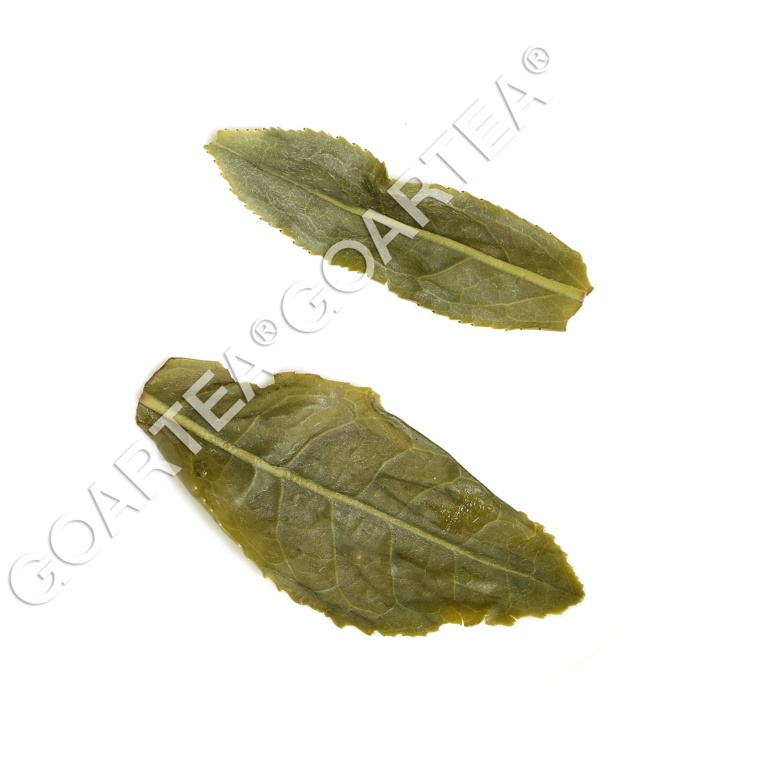 HELLOYOUNG 100g Supreme Melon Slice Liuan Guapian Spring Green Tea Chinese Loose