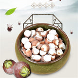 500g organic high quality fox nuts barley Uriar Schleichanshi dried nuts