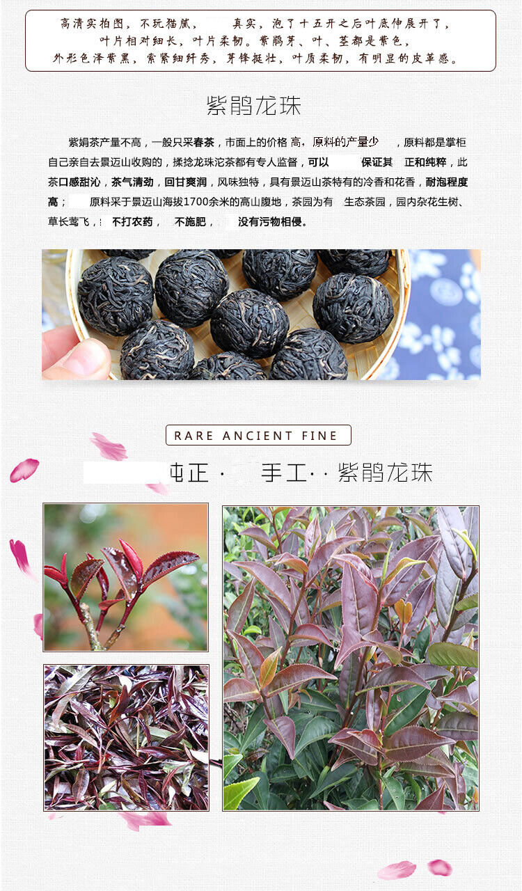 Jing Mai Mountain Zi Juan Handmade Long Zhu Purple Puer Pu-erh Tea Tuo 250g Raw