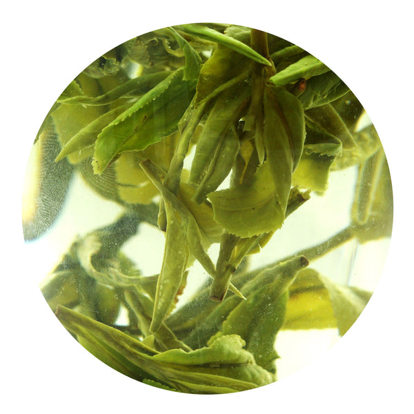 HELLOYOUNG Supreme Xihu Longjing Dragon Well Chinese Green Tea Spring Loose Leaf