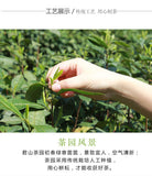 JUNSHAN WANG Ming Qian Spring New Tea Hunan Mao Jian Chinese Green Tea 250g