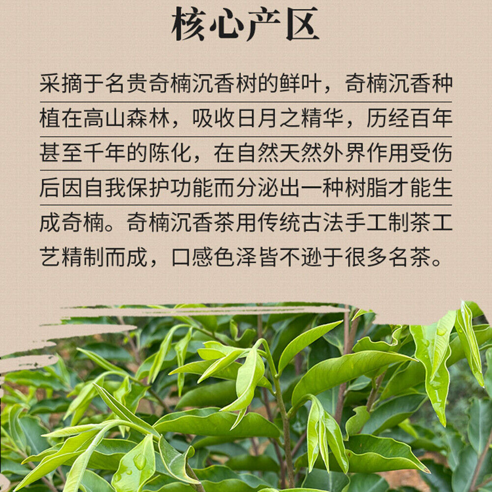 Natural Health Herbal Tea 沉香茶叶 Qinan Chenxiang Tea 奇楠沉香代用茶生茶 安神助眠茶祛湿茶调理茶养生茶 250g