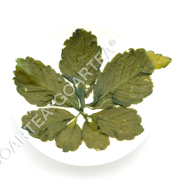 HELLOYOUNG Premium Jiaogulan Gynostemma Pentaphyllum Tea Herbal Flower Green