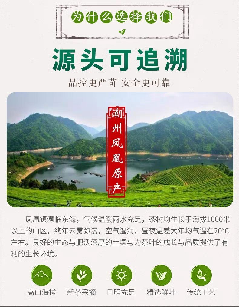 China Phoenix Dancong Yashixiang Oolong Tea Feng Huang Duck Feces Light Flavor