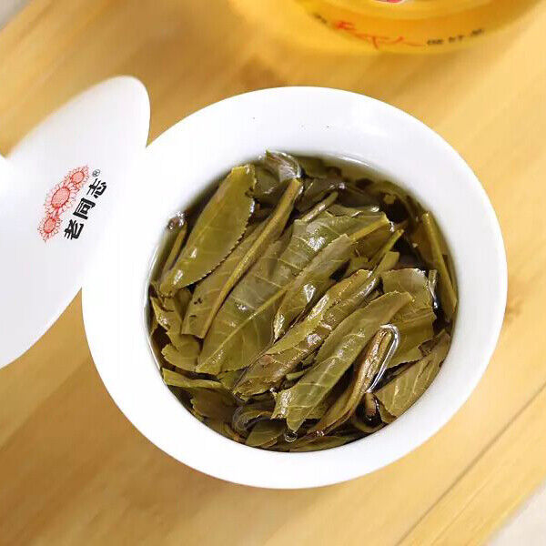 Haiwan High Mountain Ancient Tree Old Comrade Raw Puer Tea 500g Batch 141