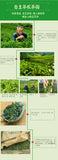Chinese Anhui Huo Shan HuangYa Yellow Tea Spring High Mountain Yellow Buds 250g