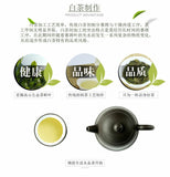 Qingyun Series Fuding White Tea Gaoshan Gongmei Shoumei Tea Cake Fujian Tea 300g