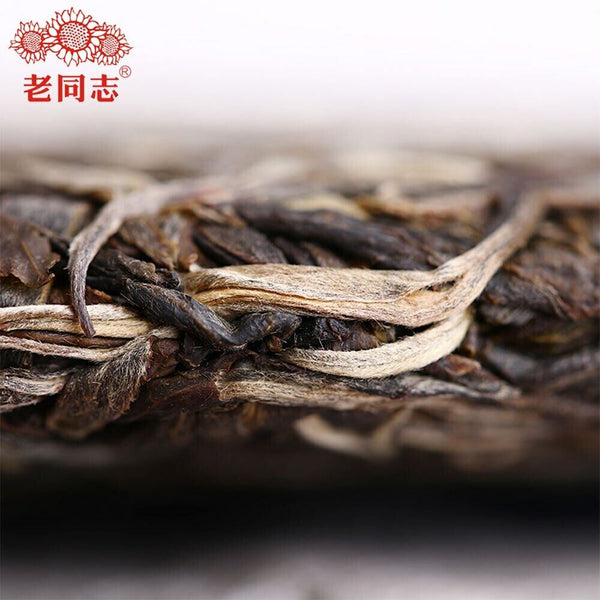 Haiwan Chinese Puer Tea Liang Yuan "Deng Yun" Raw Puerh 400g
