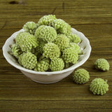 Wild Natural Tibet Green Radish Tea Flower Scented Herbs Tea Healthy Food