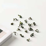 250g New Biluochun Green Tea Loose Leaf Chinese Green Tea Bag Package Green Tea