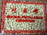 Fritillaria Cirrhosae (川貝母) - good quality and price 1 lb