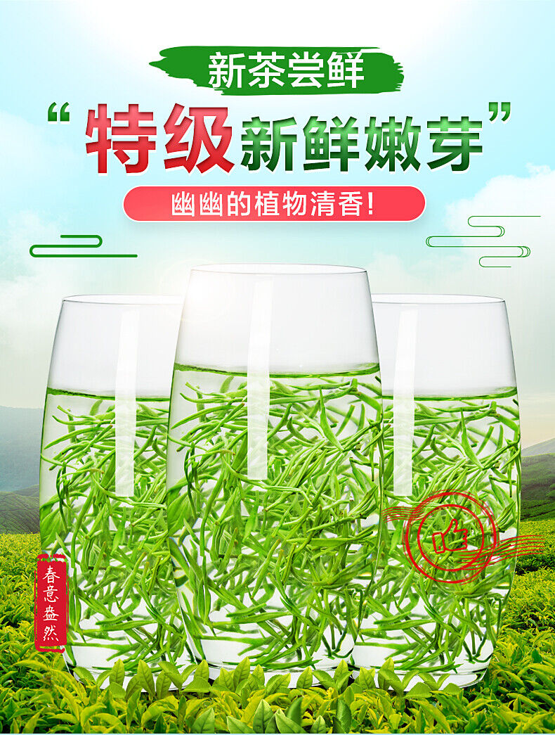 Ming Qian Biluochun Spring Organic Fresh Chinese Green Tea Chun Bi Luo 250g Tin