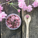 Japan Choke Cherry Blossom PinkCherry Blossom Traditional Everlasting Flower Tea