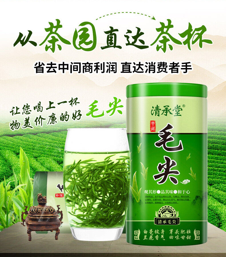 Ming Qian Premium Xinyang Maojian Tea Xin Yang Tea Mao Jian Green Tea 250g Tin