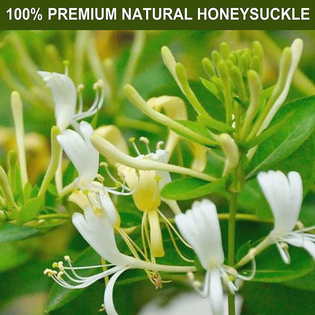 TEARELAE Dried Honeysuckle flower Tea 57g Lonicera Japonica Herbal Tea