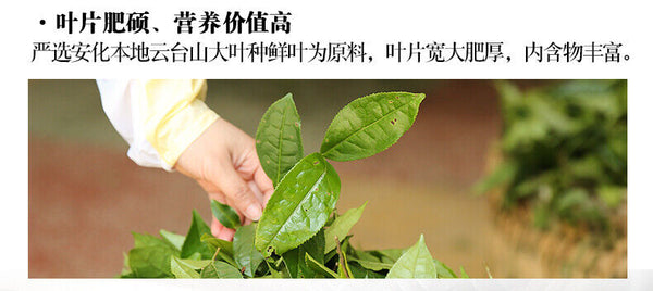 BAISHAXI Straight Foam Brick Anhua Golden Flowers Fucha Dark Tea 240g Brick