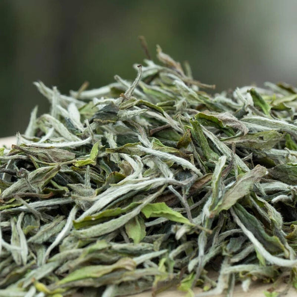 CIFbuy 1000g FuDing High Mountain Bai Mu Dan White Tea Aged White Peony Pai Mu Tan tea