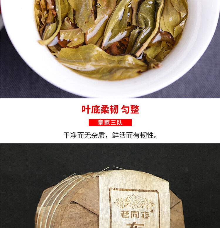 Haiwan Zhang Jia San Dui Puer Raw Tea Bulang Famous Mountain Aged Tree 500g