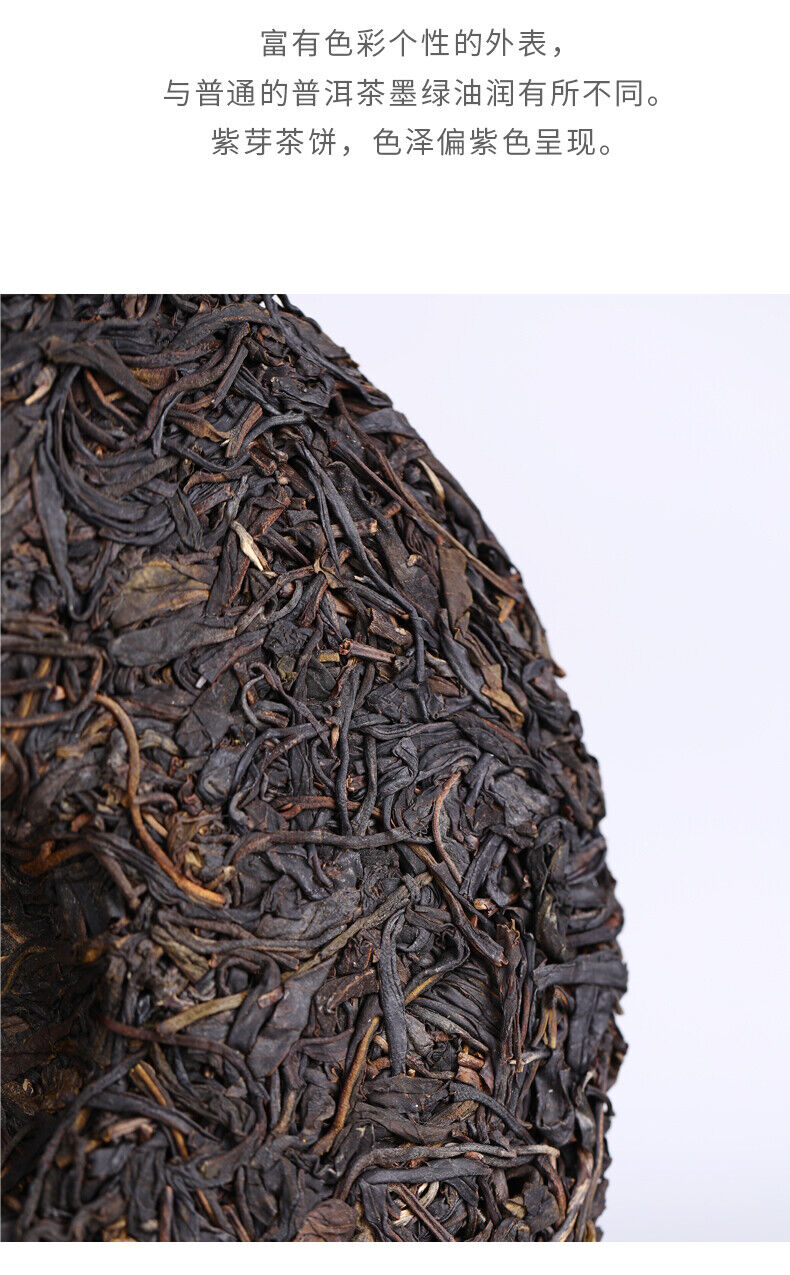 Yunnan Pu'er Tea Purple Bud Haiwan Comrade Puer Raw 357g Gelanghe Old Tree