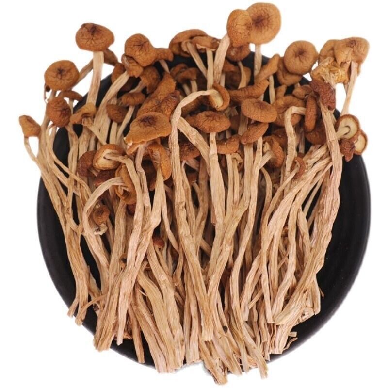 Natural Tea Tree Mushrooms agrocybe cylindracea Dried Mushrooms Kitchen Food 茶树菇