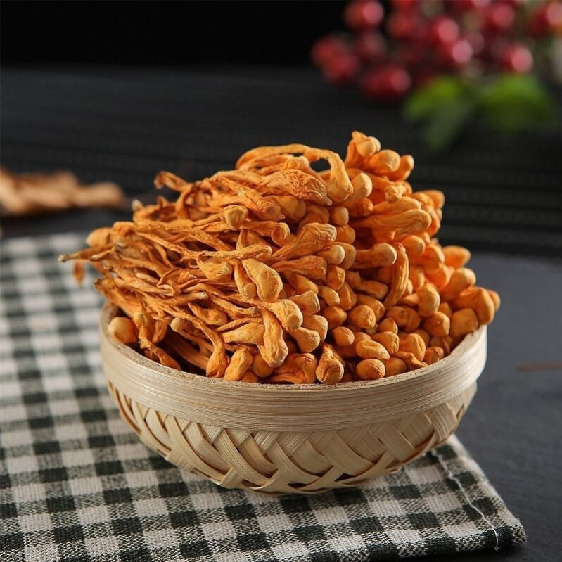 Premium Jin Chong Cao Mushroom Cordyceps Militaris Fungus Herbal Tea 500g/1.1LB