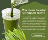 HELLOYOUNG Amazing Pure Organic Barley. Order now!