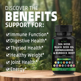 Certified Organic Sea Moss Capsules Irish Sea Moss Bladderwrack Burdock Root