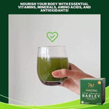 5 BOXES Pure Organic Barley Powdered Drink Mix - FREE SHIPPING