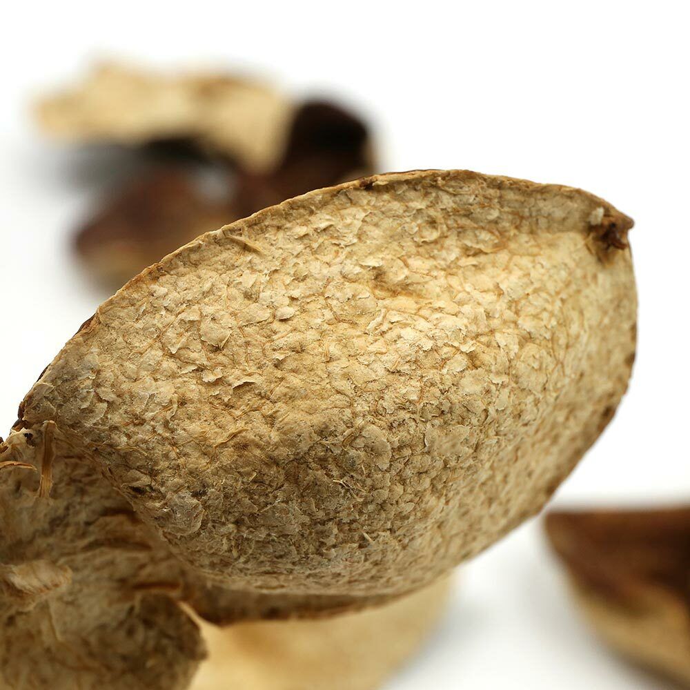 XinHui "Chen Pi" 11-Year-Old Trees Dried Tangerine Peel Dry Orange Peel 50g