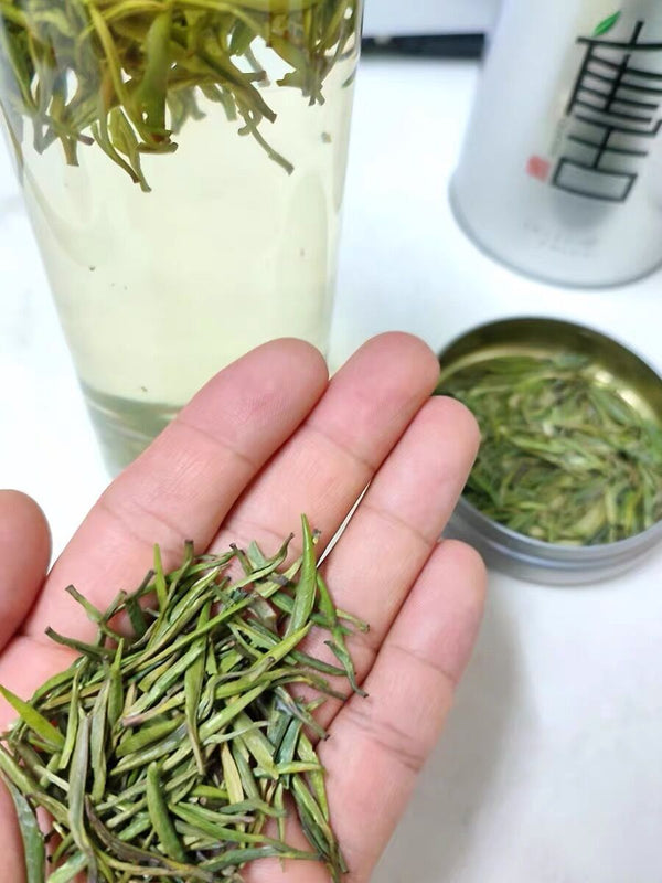 Ming Qian Silver Jar Que She Queshe Sparrow's Tongue Chinese Green Tea 100g
