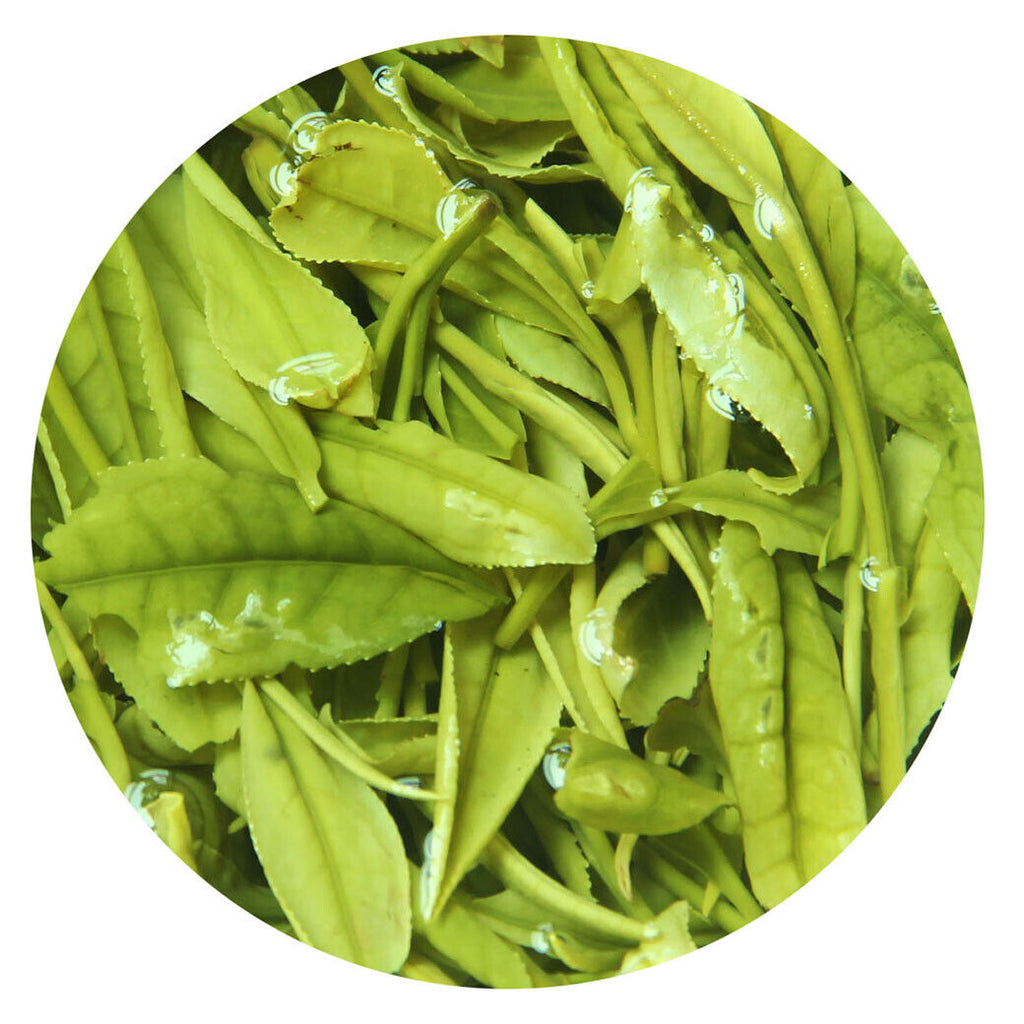 HELLOYOUNG Premium Anji Baicha Baipian White Slice Tea Spring Chinese GREEN TEA
