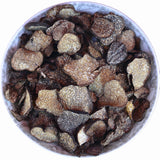 100g Bio getrocknete schwarze Wintertrüffel perigord truffle Tuber sinense