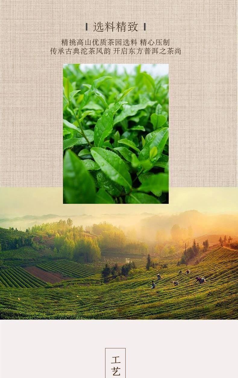 Colourful Yunnan Tuocha Raw Puer Mini Gold Pu'er Tea with Natural Fragrance 45g