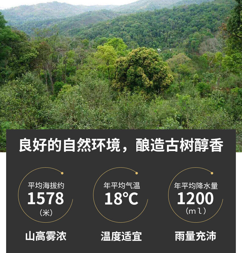 250g DianHong Dr. Pu'er Tea Yunnan Black Tea Ancient Tree Dian Hong Tea Brick