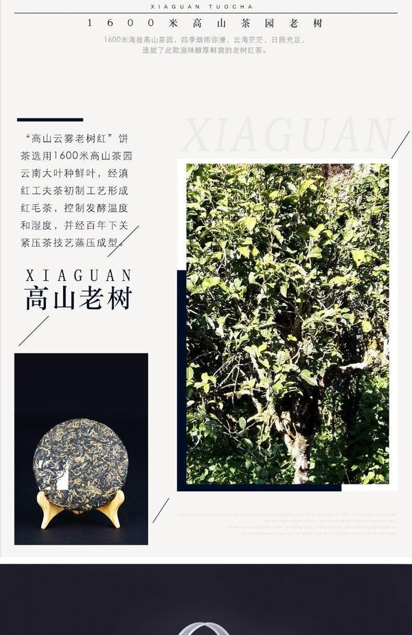 Xiaguan Yunnan Kung Fu Dian Hong Red Tea Old Tree Black Tea Dianhong 200g