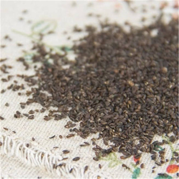 Plantago Asiatica Seed 花子 Che Qian Zi Plantain Seed Psyllium Seed 100% Natural