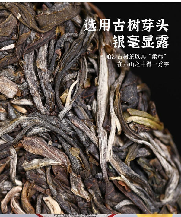 Haiwan Famous Mountain Aged Tree Raw Puer PaSha Gu Shu Old Pu'er Tea 500g