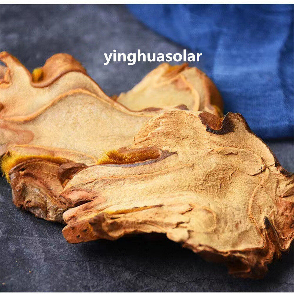 7oz 特级 金狗脊 狗脊 金毛狗脊犬片 中药材 Rhizoma Cibotii Cibotium Barometz 强腰膝祛风湿固肾气下肢酸软无力遗精起夜尿频