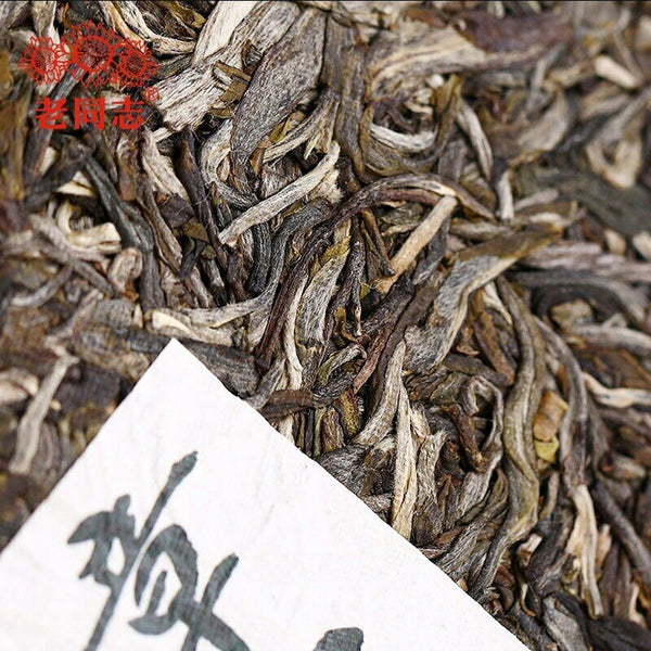 Haiwan Zhang Jia San Dui Raw Puer Tea Bulang Mountain Sheng Puerh 500g