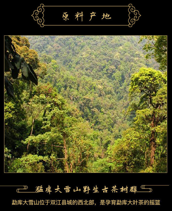 MengKu Hao Rongshi Yunnan Mengku Qizi Tea Biscuit Green Cake Raw Puer 400g